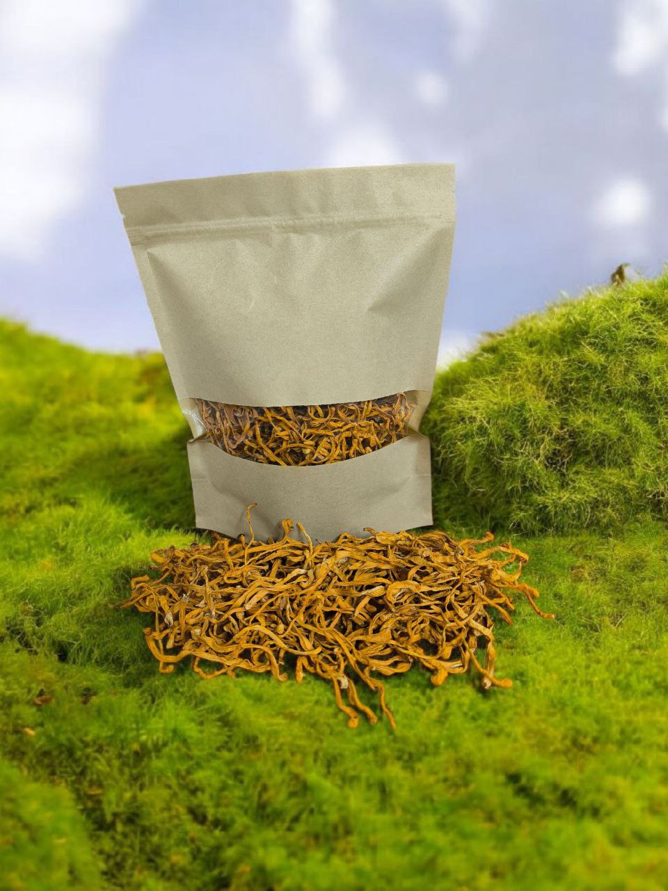 Кордицепс. Плодовые тела 100 г