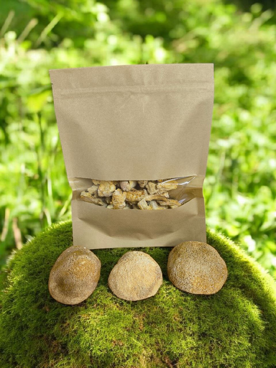 Ежовик гребенчатый. Плодовые тела 50 г