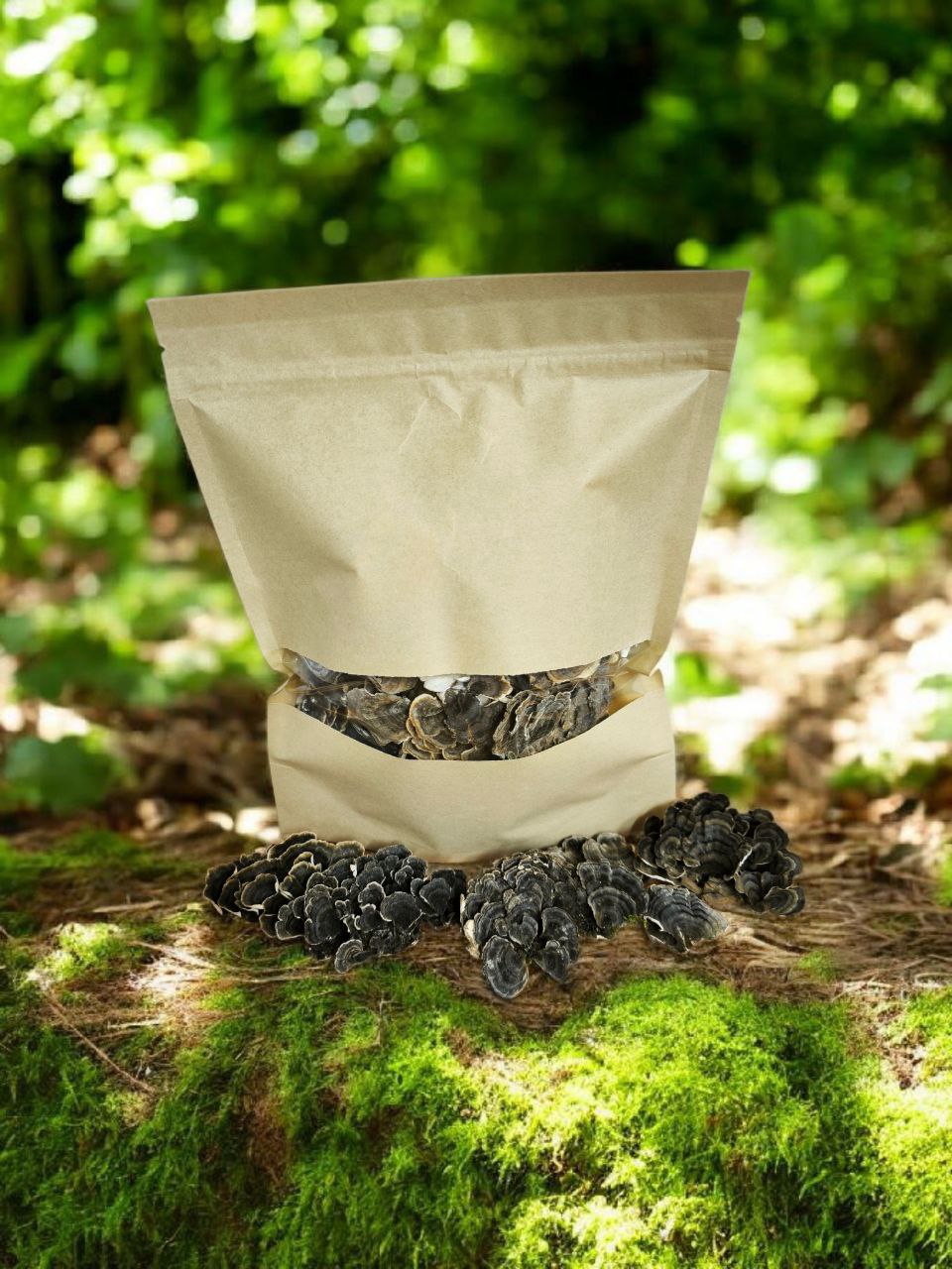 Траметес разноцветный. Плодовые тела 50 г