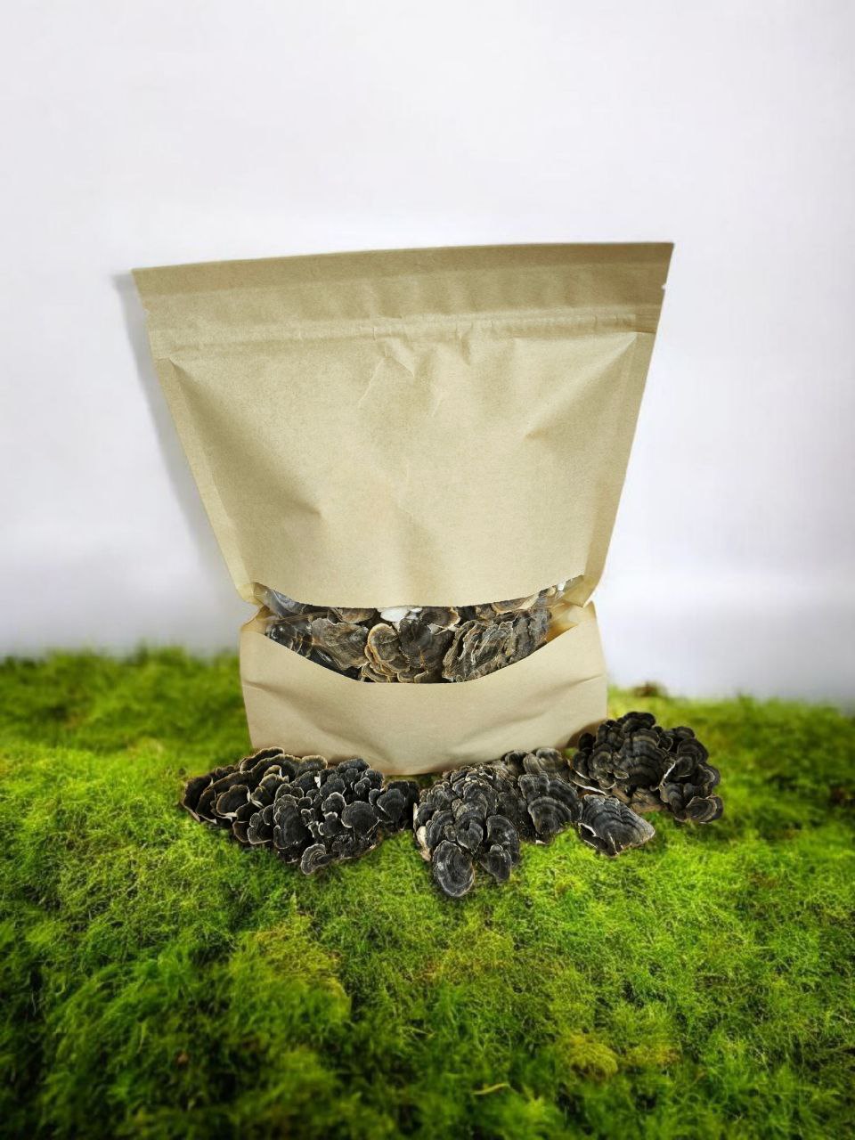 Траметес разноцветный. Плодовые тела 100 г