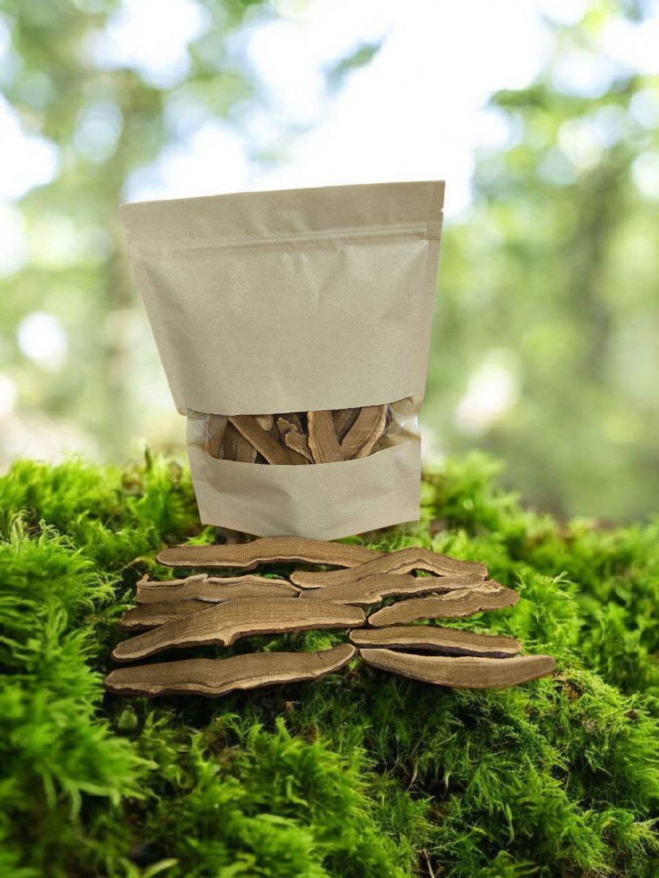 Рейши. Плодовые тела. Пластинки 100 г