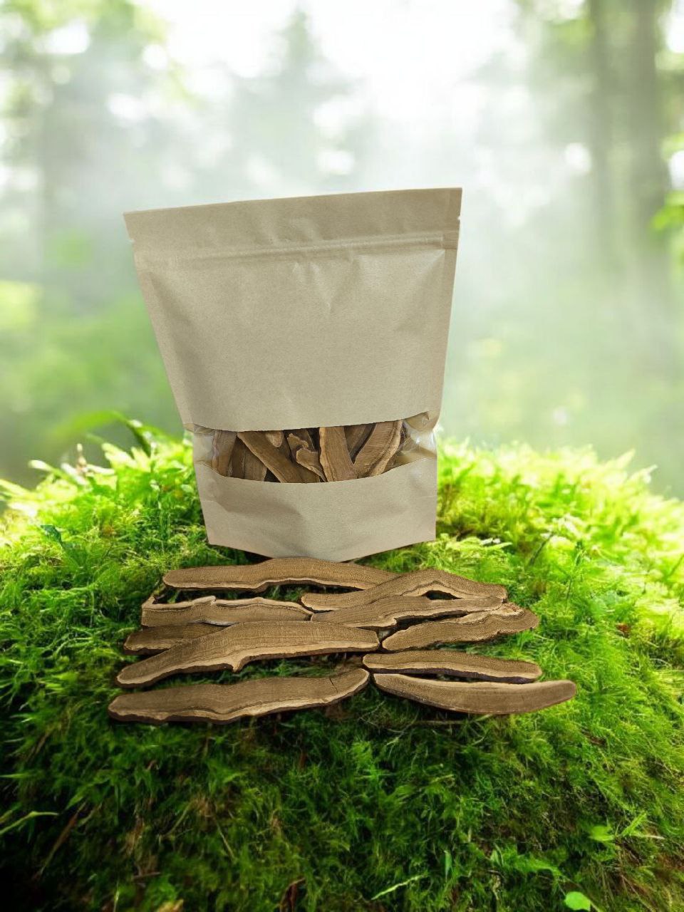Рейши. Плодовые тела. Пластинки 50 г
