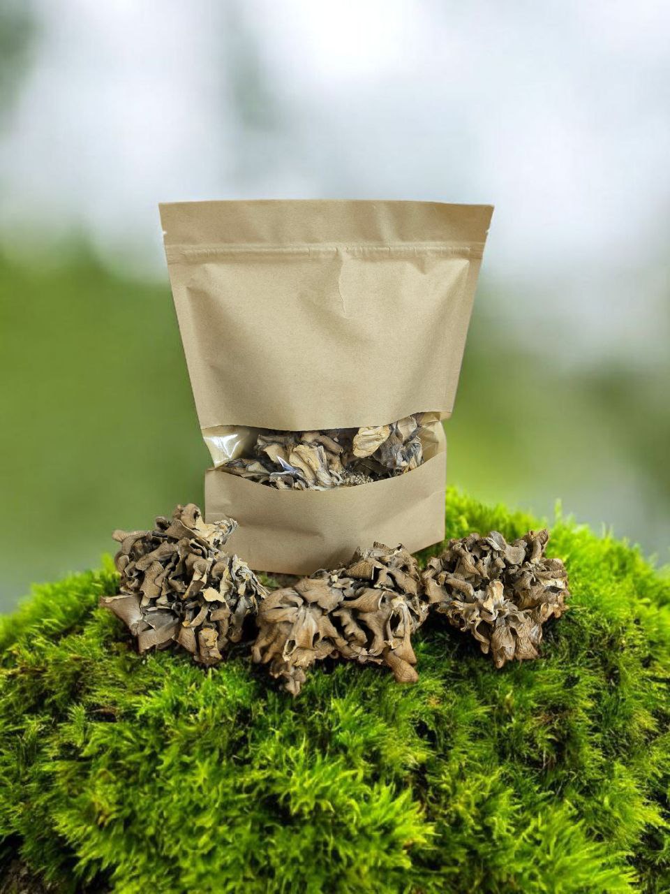 Мейтаке. Плодовые тела 100 г